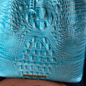Brahmin purse